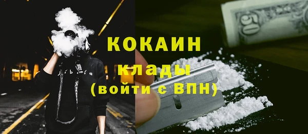 шишки Кинешма