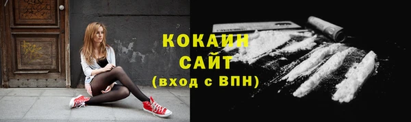 шишки Кинешма