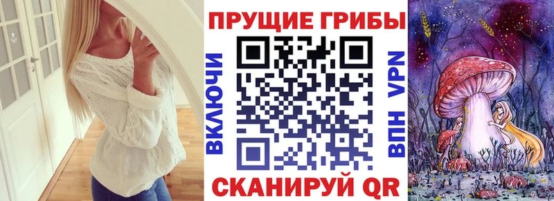 Купить  Боровск  Галлюциногенные грибы Psilocybine cubensis 